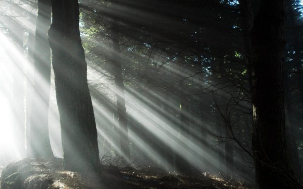 Луч солнца в темноте