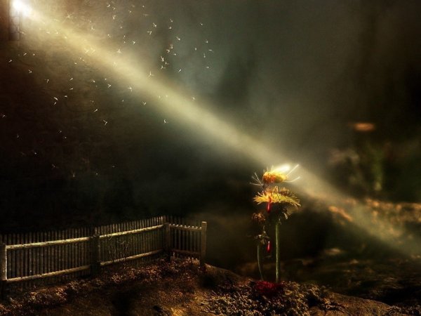 Луч света во тьме