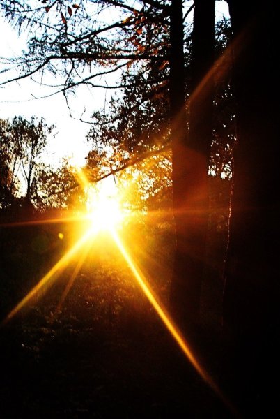 Рассвет лучи солнца