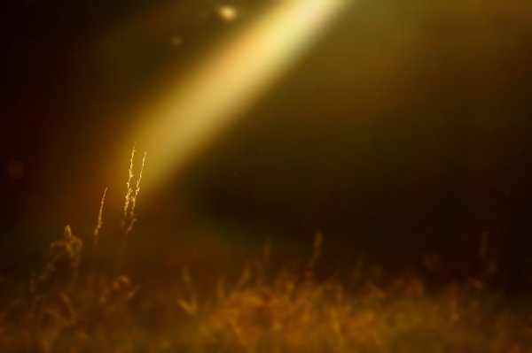 Солнце во тьме