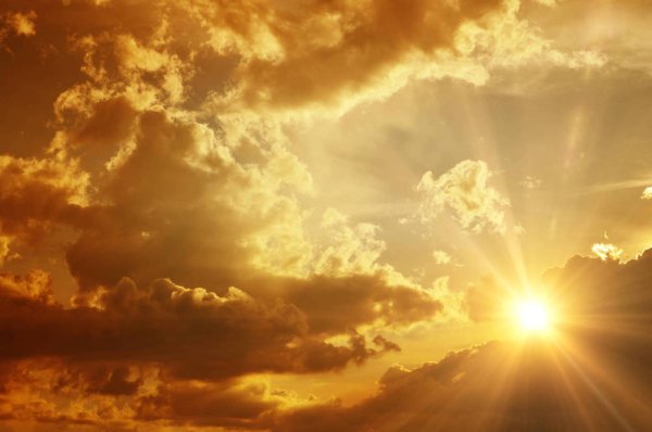 Яркое солнце