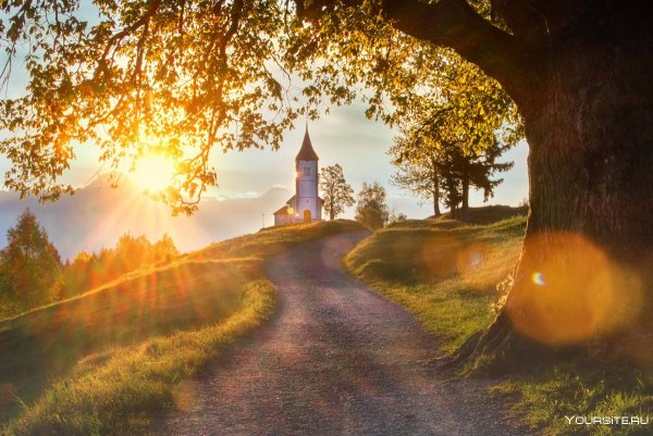 Дорога к храму осень