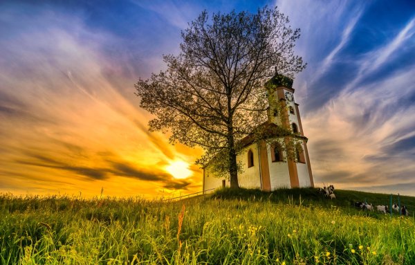 Церковь в поле