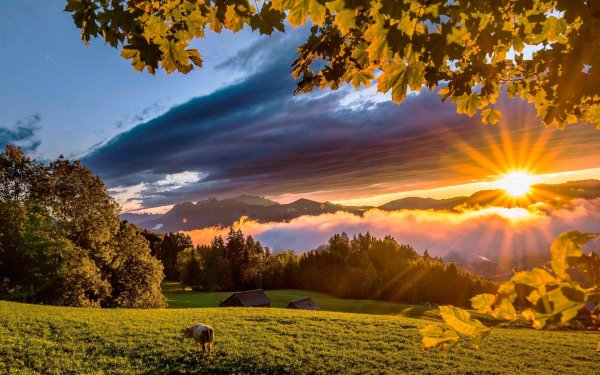 Осень солнце