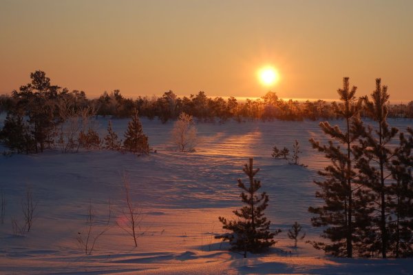 Закат в зимнем лесу фото