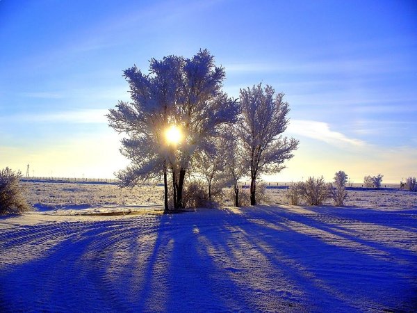 Солнечный зимний день