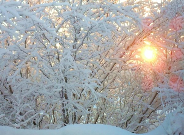 Зимнее утро