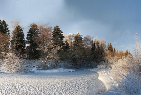 Солнечный зимний день