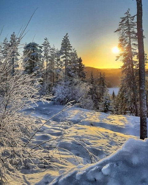 Солнечный зимний день