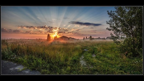 Пейзаж рассвет