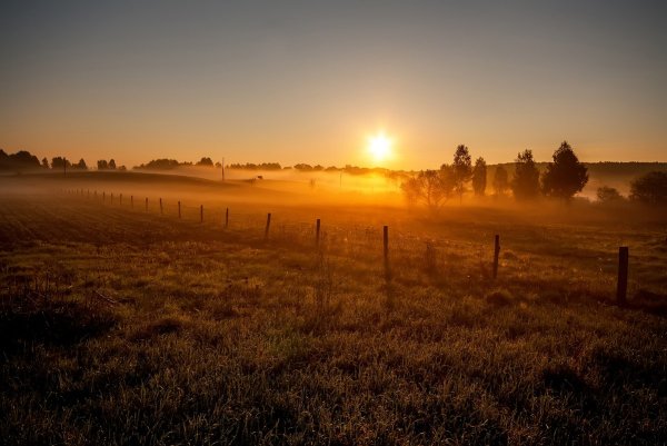 Лето в деревне