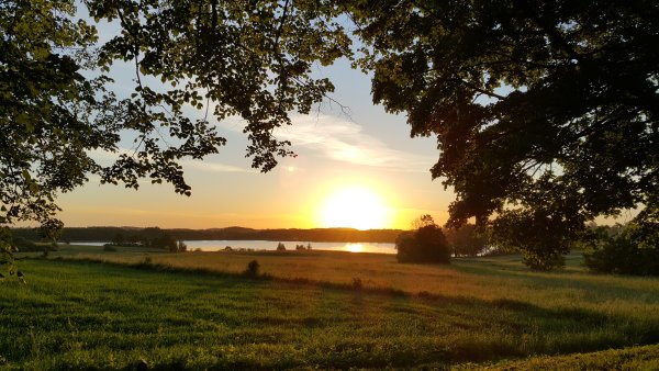 Лето солнце