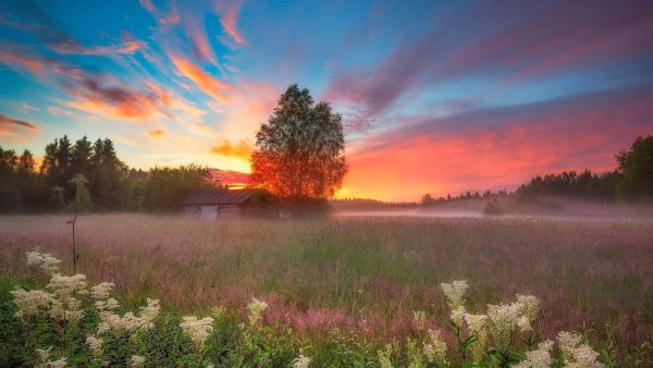 Рассвет на реке лето деревня