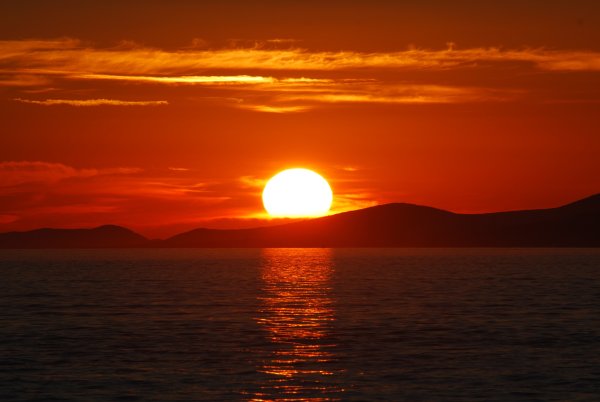 Пейзаж с верблюдом