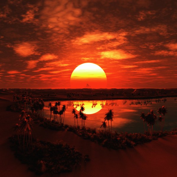 Красивая девушка в пустыне