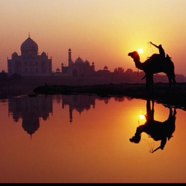 Солнце живопись