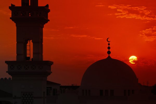 Восток пустыня Караван