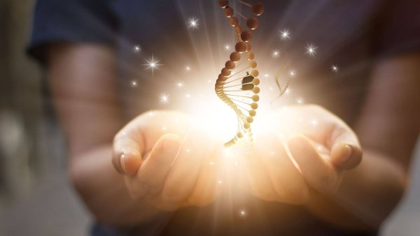 Тепло человеческой души