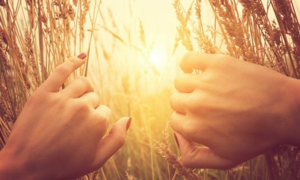 Тепло человеческой души