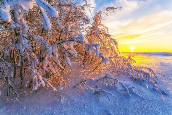 Солнечный зимний день фото