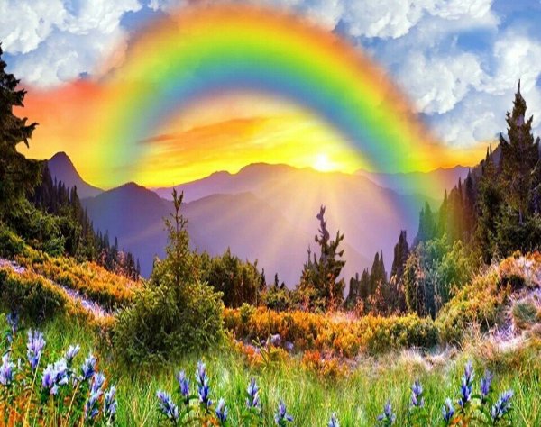 "Солнце в лесу"