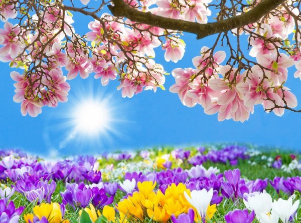 Море солнце пляж