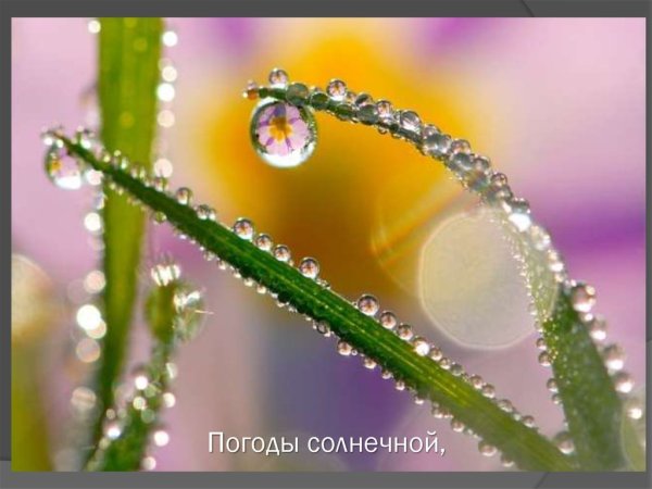 Коса блестит на солнце