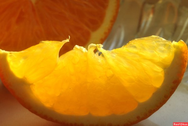 Апельсин долька под солнцем