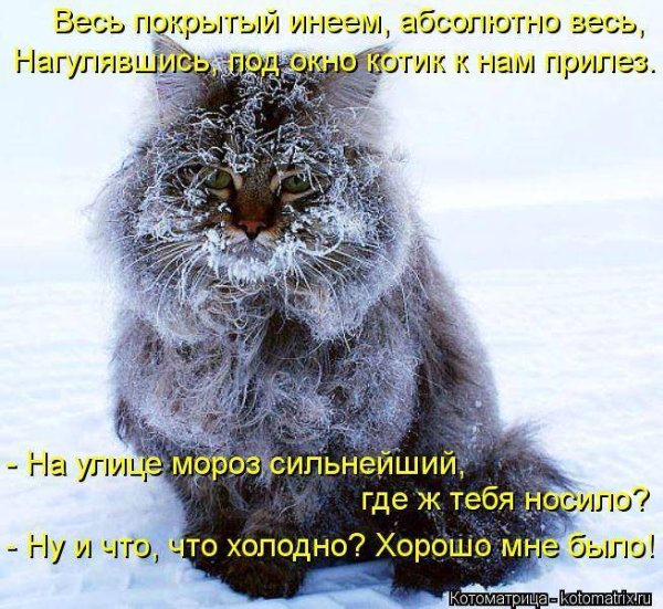 Яркого солнечного утра и прекрасного настроения