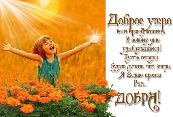 Открытки радость нового дня