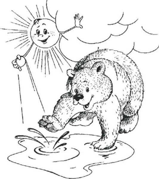 Медведь и солнце раскраска