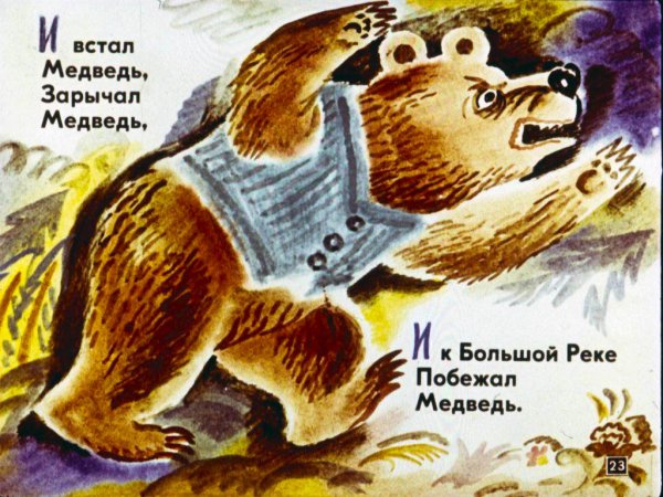 Николай Сладков медведь и солнце