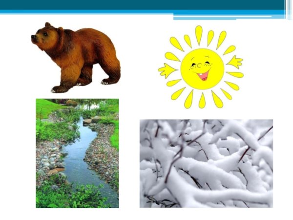 Николай Сладков медведь и солнце
