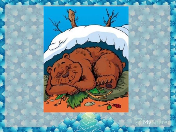 Медведь в спячке.подготовительная группа