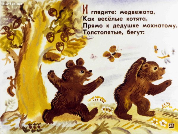 Рубцов медведь