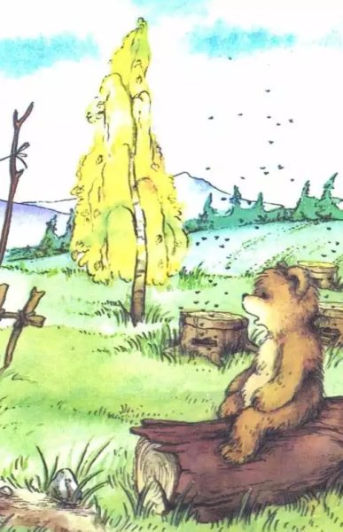 Диафильмы караденое солнце