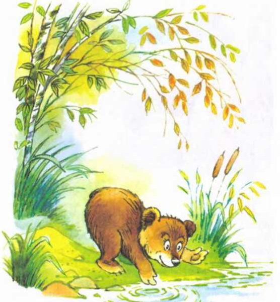 Медведь Чижиков вершки и корешки