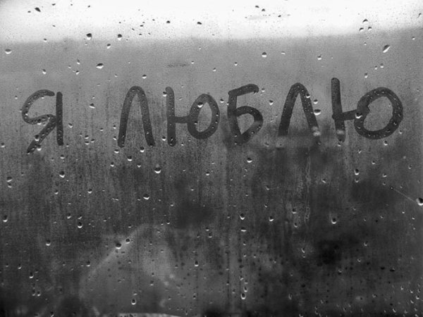 Я тебя не люблю