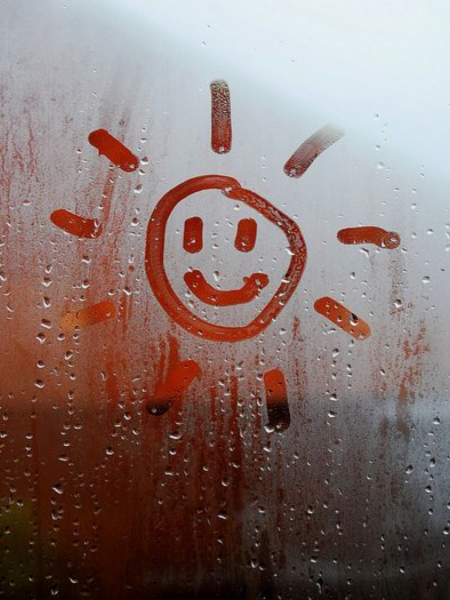 Пасмурное летнее утро