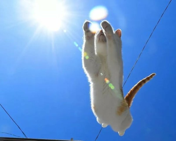 Красивые моменты