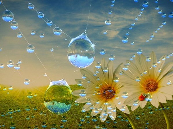 Весенний дождь за окном