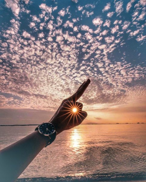 Позитивные цветы