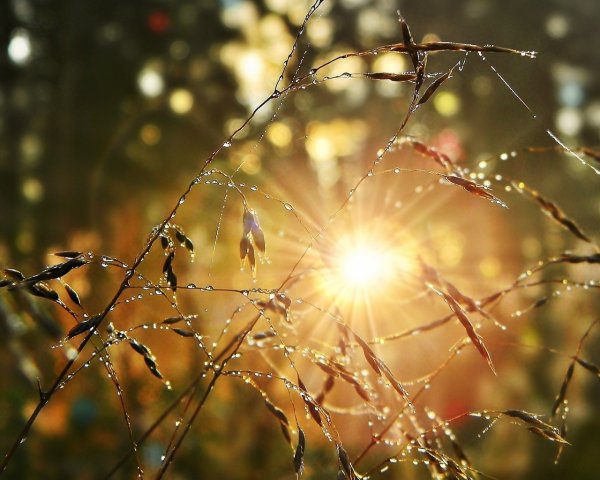 Хорошего настроения в плохую погоду