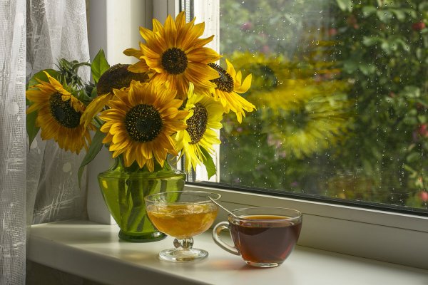 Поздравляю с дождем