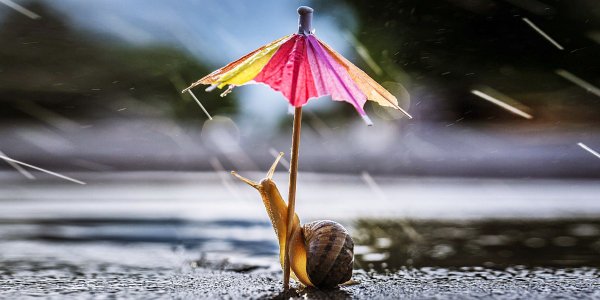 Весеннее окно