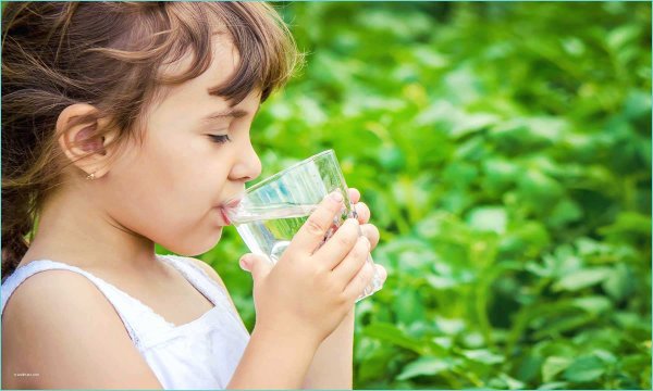 С добрым утром одуванчики