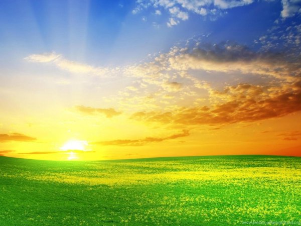 Яркое солнце