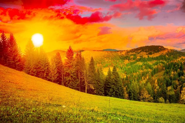 Доброе солнышко