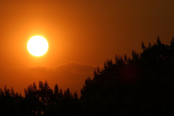 Солнце ночи