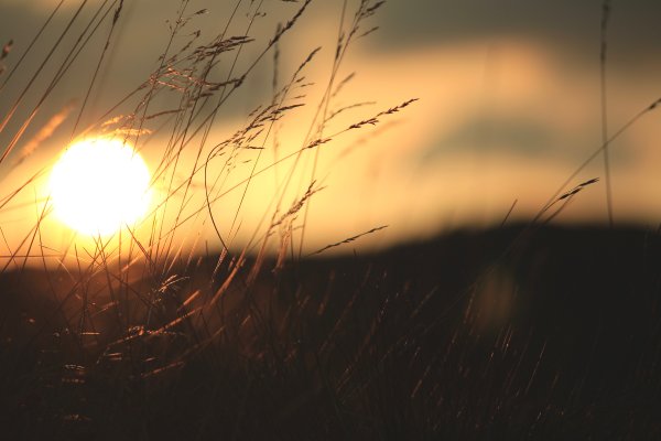 Закат звезды